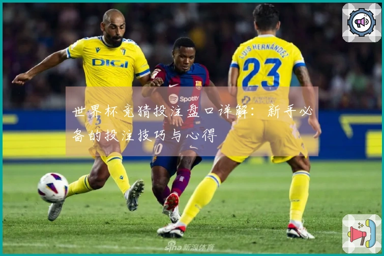 世界杯竞猜投注盘口详解：新手必备的投注技巧与心得