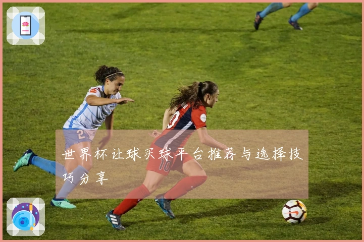 世界杯让球买球平台推荐与选择技巧分享