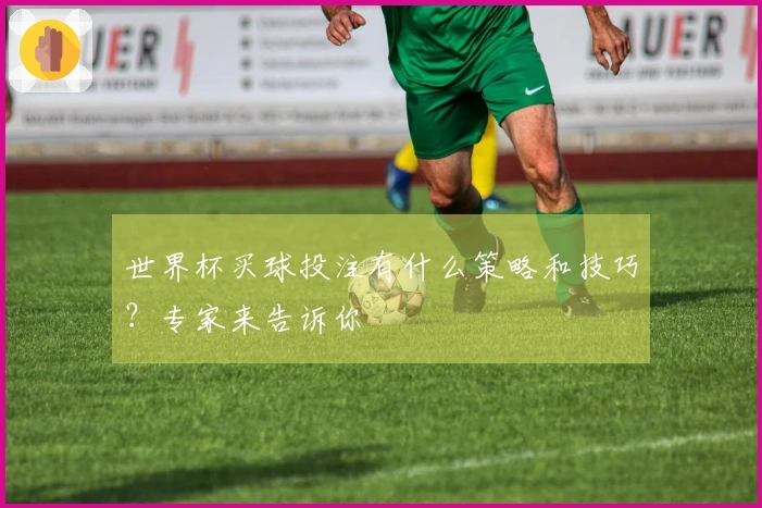 世界杯买球投注有什么策略和技巧？专家来告诉你
