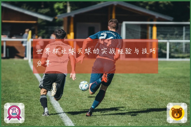 世界杯让球买球的实战经验与技巧分享