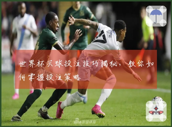 世界杯买球投注技巧揭秘，教你如何掌握投注策略