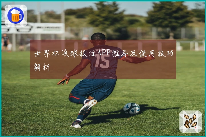 世界杯滚球投注APP推荐及使用技巧解析