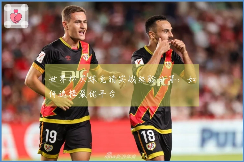 世界杯买球竞猜实战经验分享，如何选择最优平台