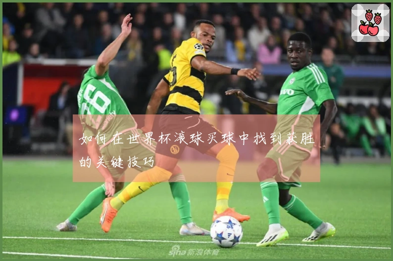 如何在世界杯滚球买球中找到获胜的关键技巧
