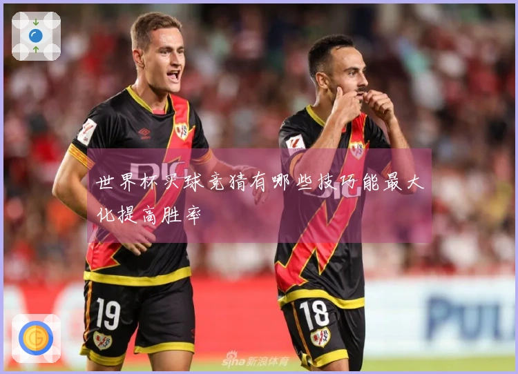 世界杯买球竞猜有哪些技巧能最大化提高胜率