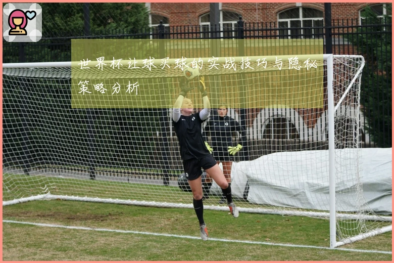 世界杯让球买球的实战技巧与隐秘策略分析